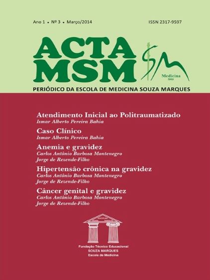 					Visualizar v. 1 n. 3 (2014): Acta MSM: Periódico da Escola de Medicina Souza Marques
				
